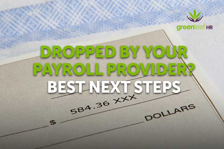 Cannabis Business Payroll Provider Issues - Best Next Steps