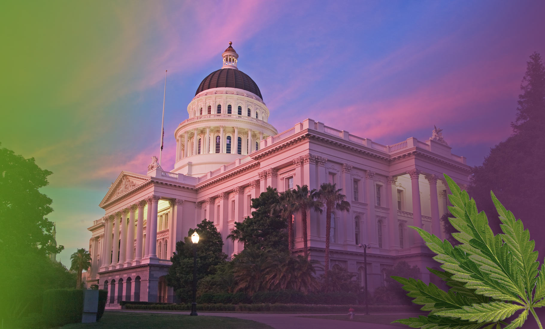 Grant Funding for California’s Cannabis Industry