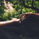 What Does Human Resources Do in the Cannabis Industry?