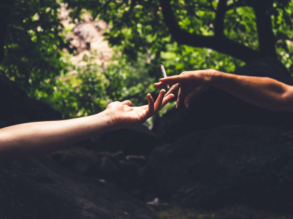 What Does Human Resources Do in the Cannabis Industry?