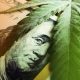 How to Protect Your Interests in Cannabis Business Partnerships