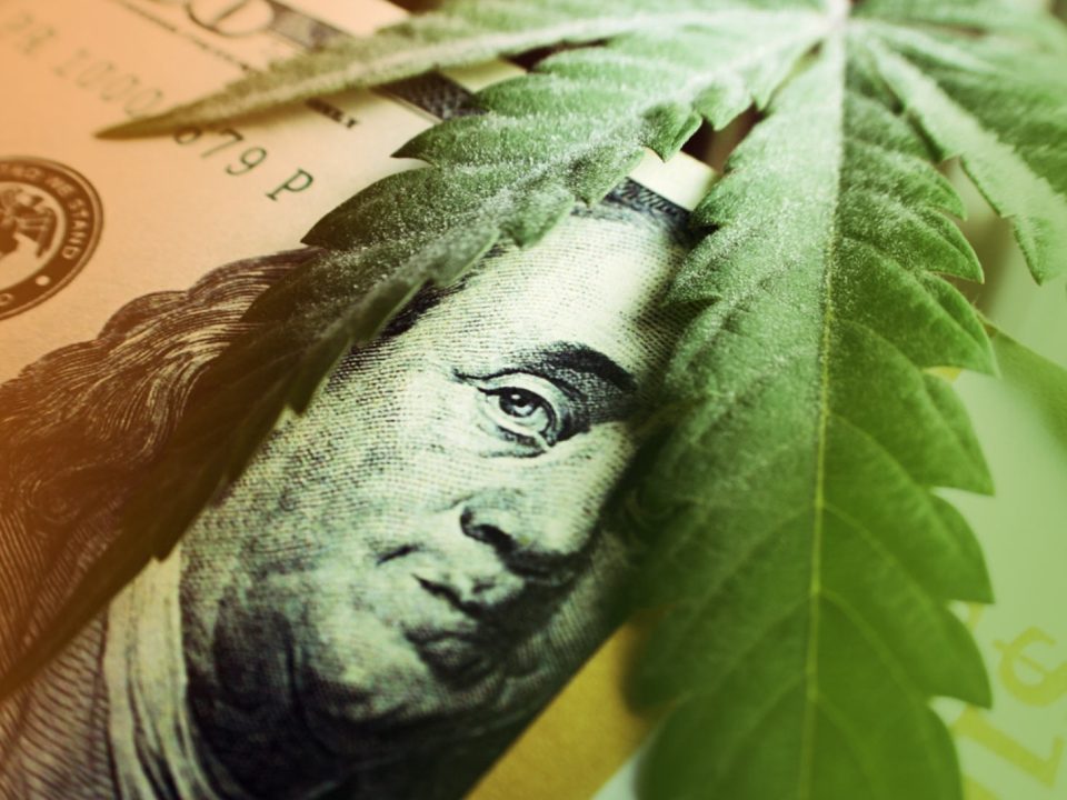 How to Protect Your Interests in Cannabis Business Partnerships